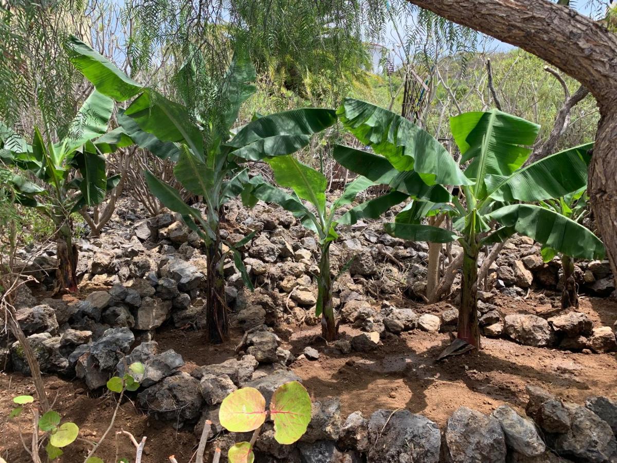Bella Vista - Finca Tabaiba Icod De Los Vinos Luaran gambar